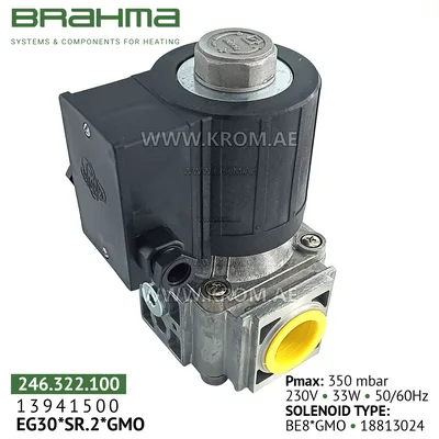 Brahma 13941500 EG30*SR.2*GMO gas valve