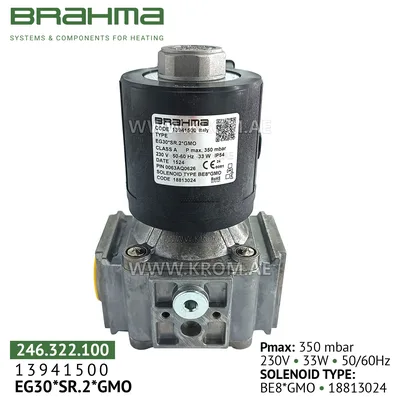 Brahma 13941500 EG30*SR.2*GMO gas valve