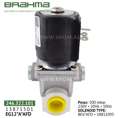 Brahma 13871501 EG12*A*AFD gas valve