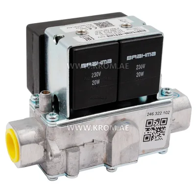 Brahma 13991706 GVK15*1L*S*G1 gas valve