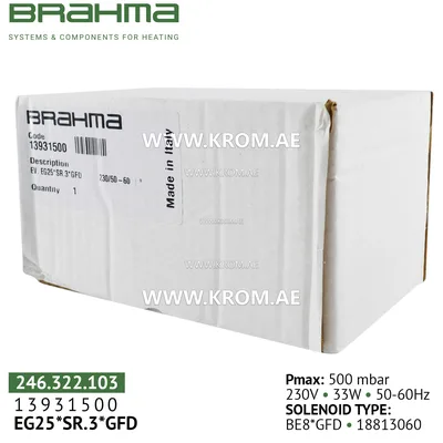 Brahma 13931500 EG25*SR.3*GFD gas valve