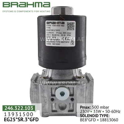 Brahma 13931500 EG25*SR.3*GFD gas valve
