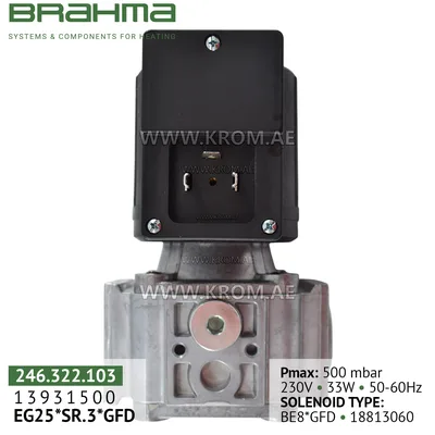Brahma 13931500 EG25*SR.3*GFD gas valve