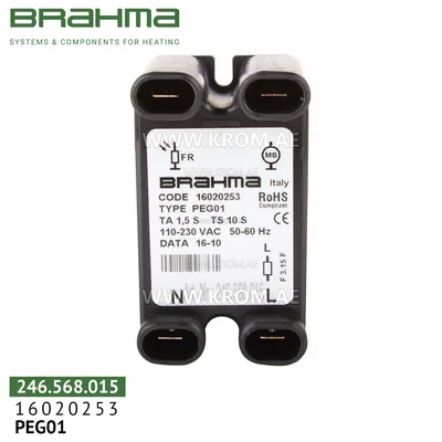 Brahma 16020253 PEG01 flame control