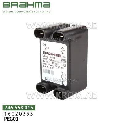 Brahma 16020253 PEG01 flame control