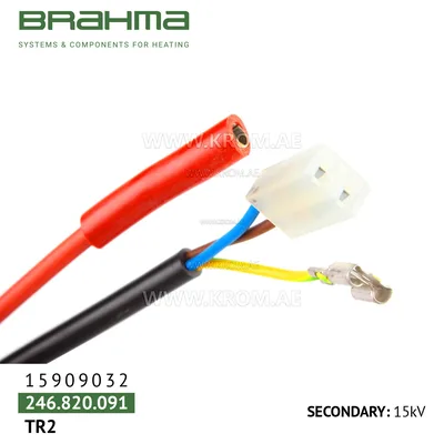 Brahma 15909032 TR2/A ignition transformer