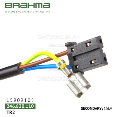 Brahma 15909105 TR2/A ignition transformer