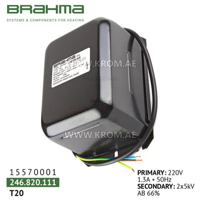 Brahma 15570001 T20 ignition transformer