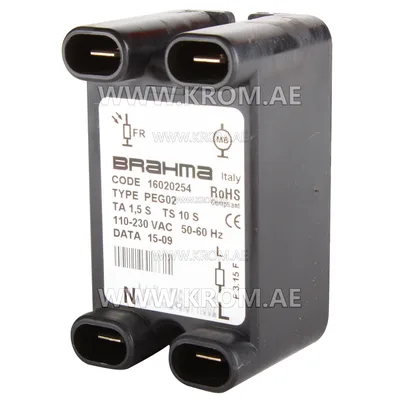Brahma 16020254 PEG02 flame control