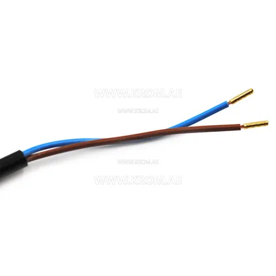 Brahma 18209121 FT13L/V photocell