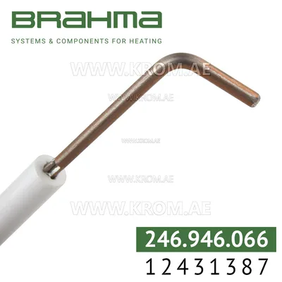 Brahma 12431387 K3,0 SALV 8-120. P2 electrode