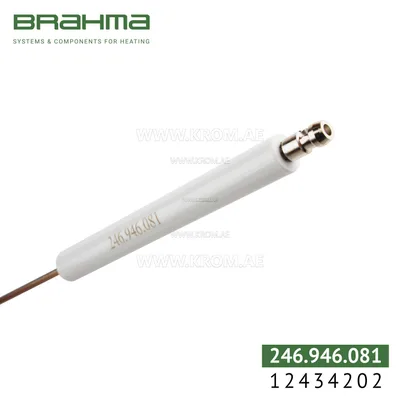 Brahma 12434202 K3A1 ALV 11-102.200 electrode