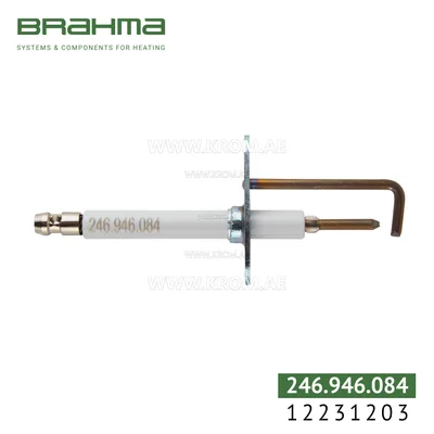 Brahma 12231203 K3,0 S2ALV 8-60. P electrode