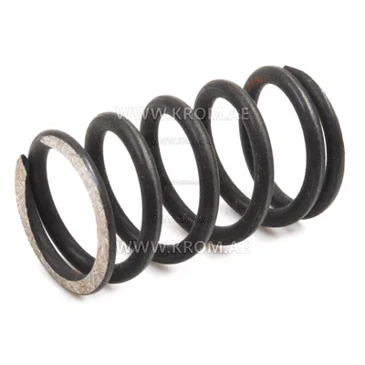 Danfoss 070-0030 RSA spring