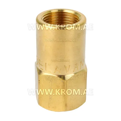 Delavan 1/4 standard nozzle adapter