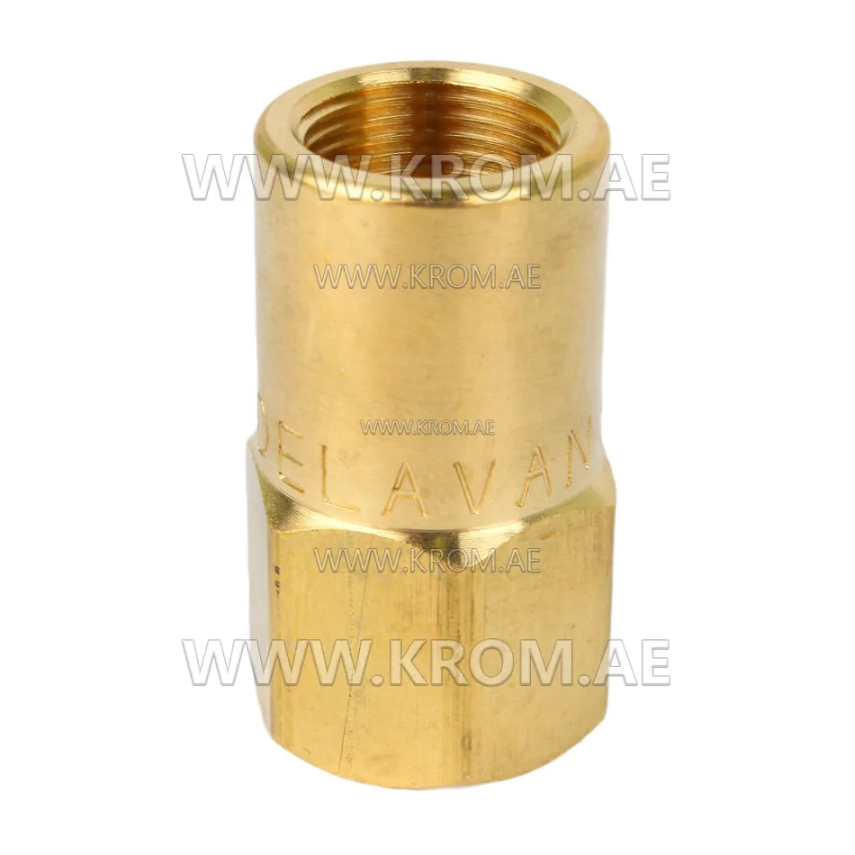 Delavan 1/4 standard nozzle adapter