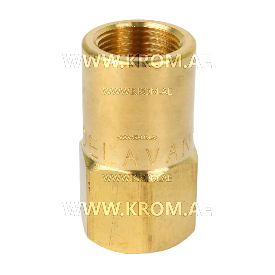 Delavan 1/4 standard nozzle adapter