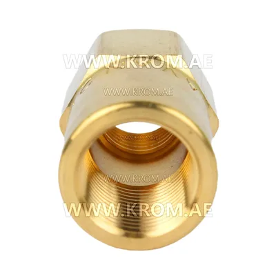 Delavan 1/4 standard nozzle adapter