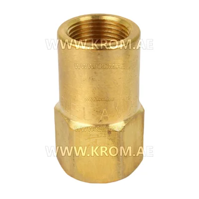 Delavan 1/8 standard nozzle adapter