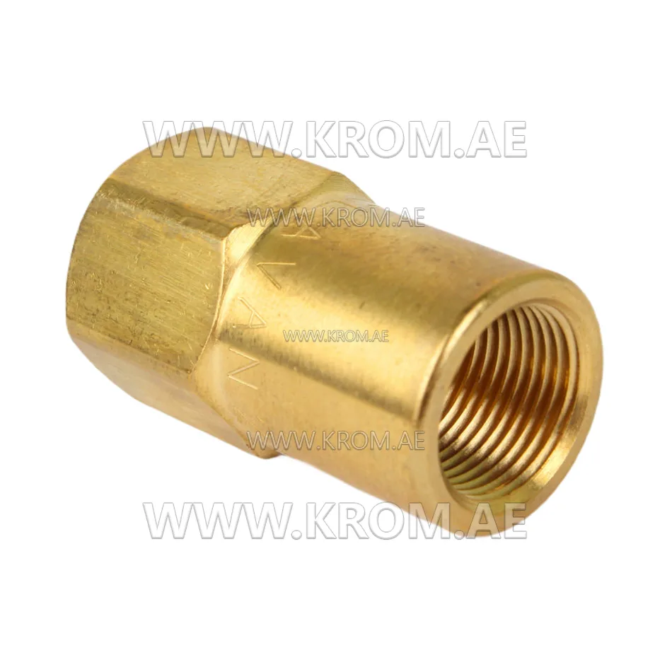 Delavan 1/8 standard nozzle adapter