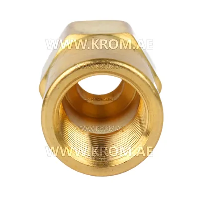 Delavan 1/8 standard nozzle adapter