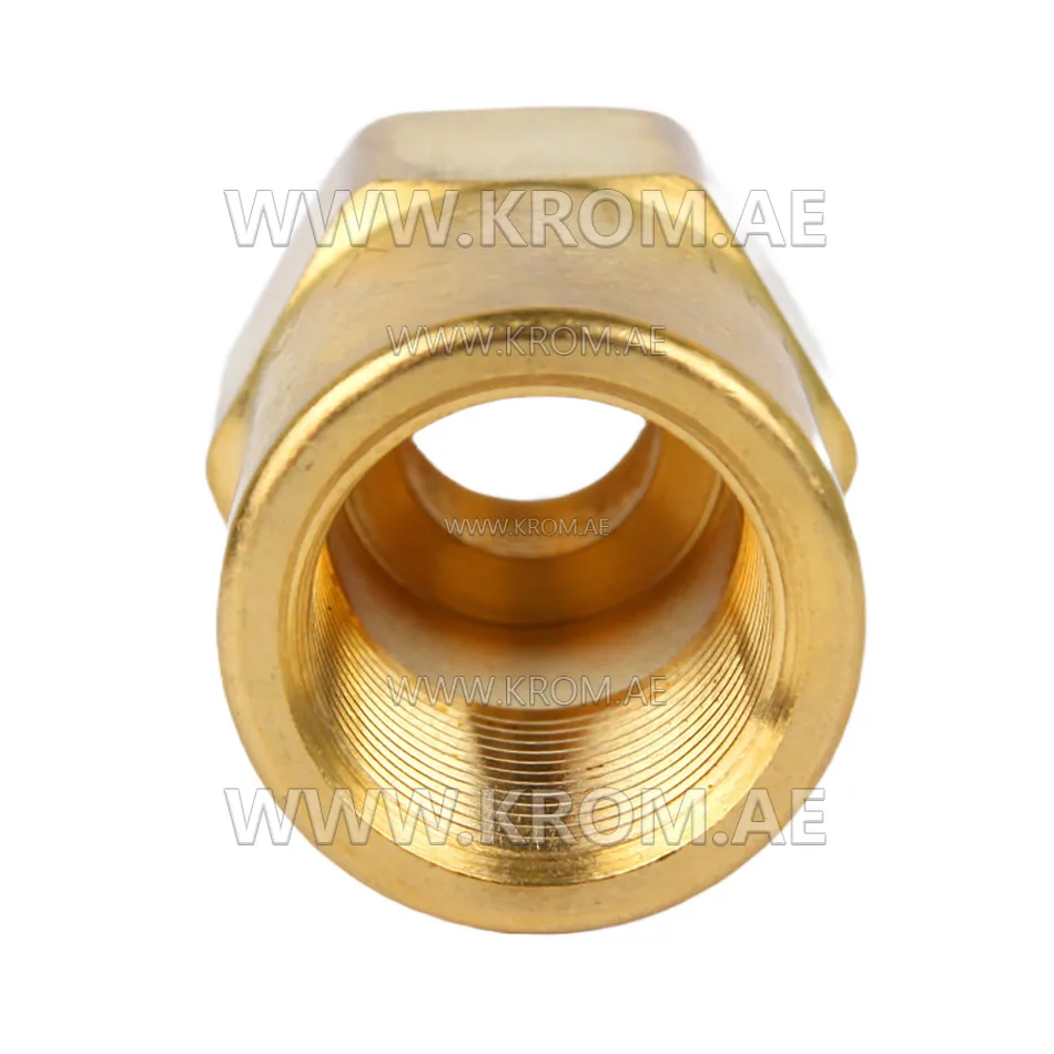 Delavan 1/8 standard nozzle adapter