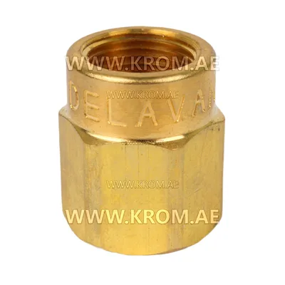 Delavan 1/4 short nozzle adapter