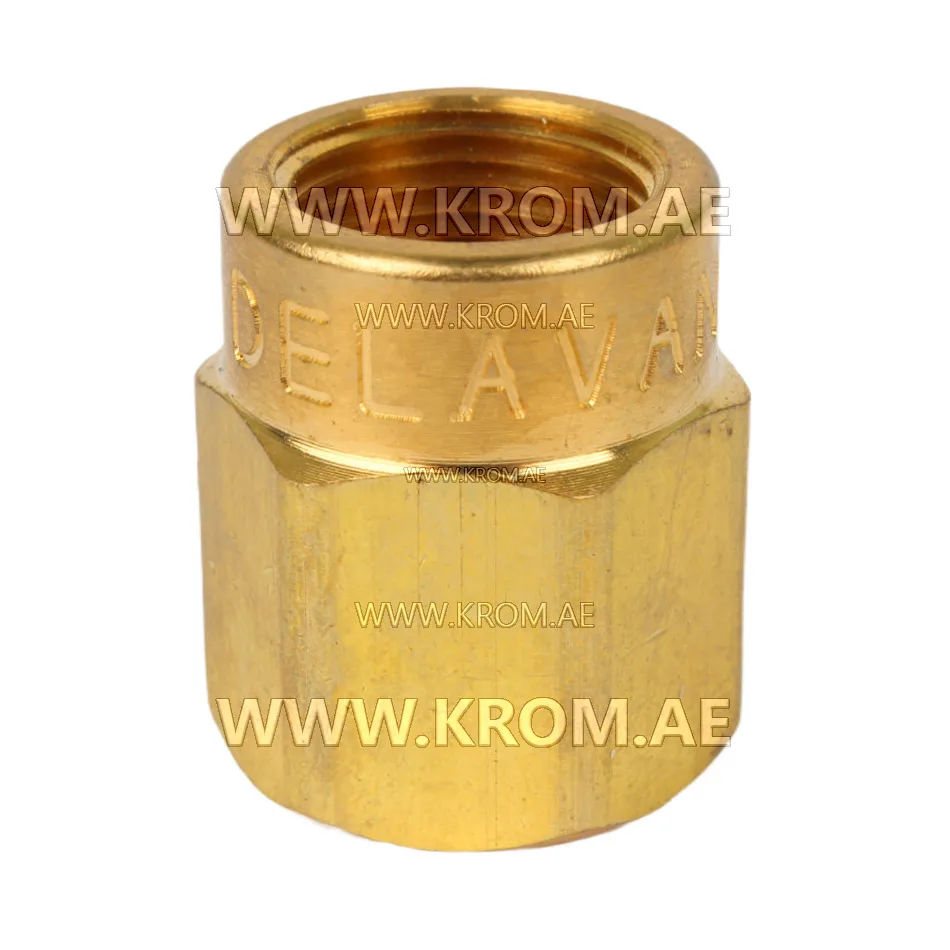 Delavan 1/4 short nozzle adapter