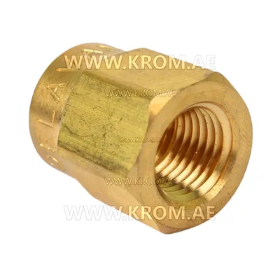 Delavan 1/4 short nozzle adapter
