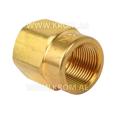 Delavan 1/4 short nozzle adapter
