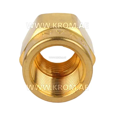 Delavan 1/4 short nozzle adapter