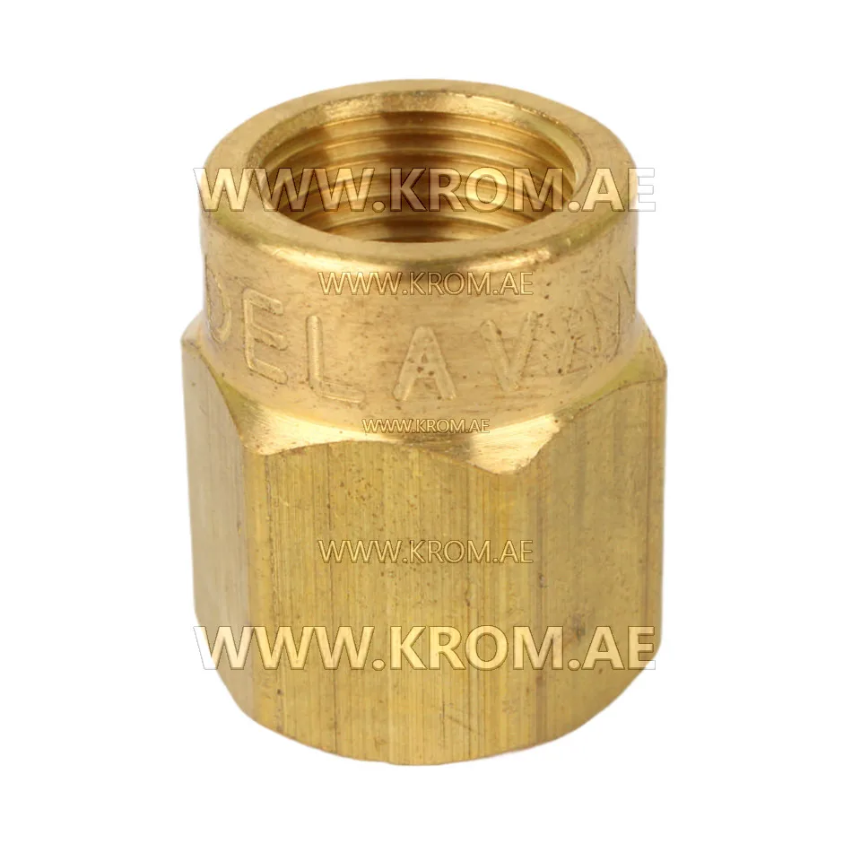 Delavan 1/8 short nozzle adapter
