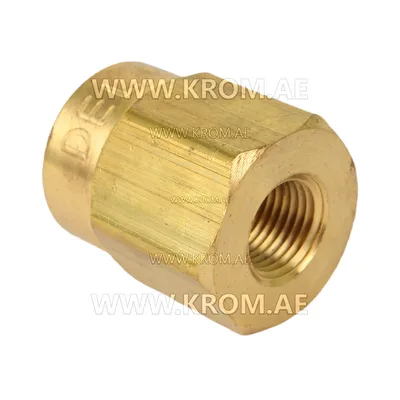 Delavan 1/8 short nozzle adapter