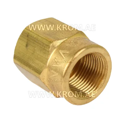 Delavan 1/8 short nozzle adapter