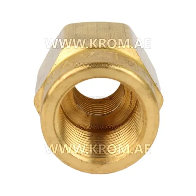 Delavan 1/8 short nozzle adapter
