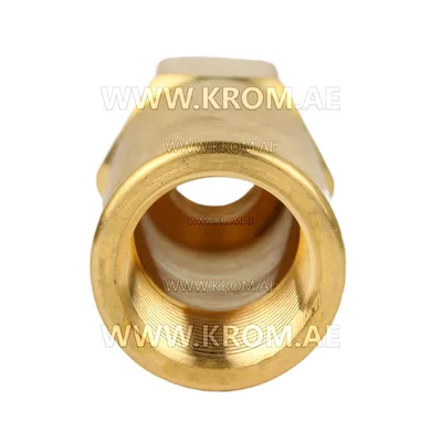 Delavan 1/8 long nozzle adapter