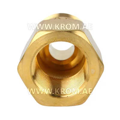 Delavan 3/8 male nozzle adapter