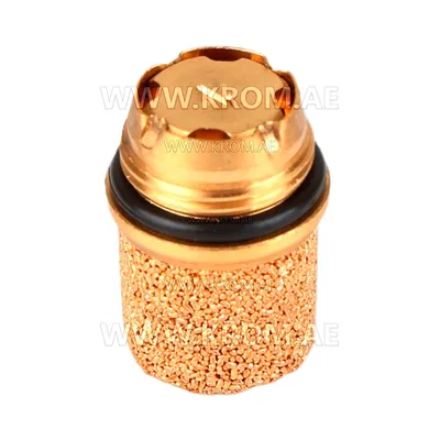 Delavan Protek Valve 60101-001
