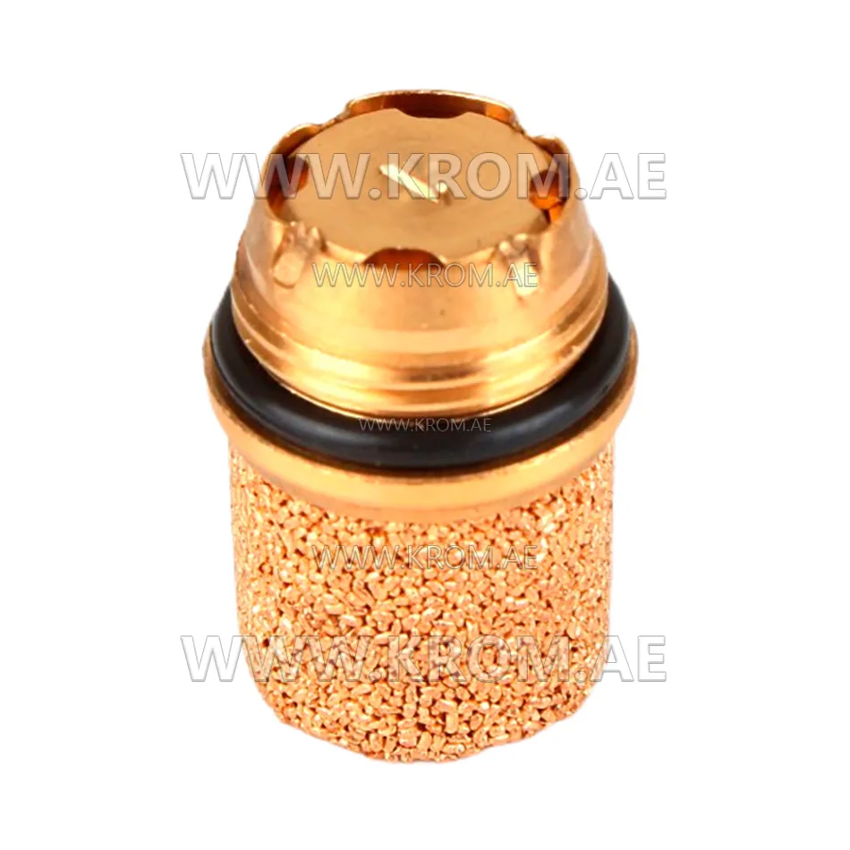 Delavan Protek Valve 60101-001