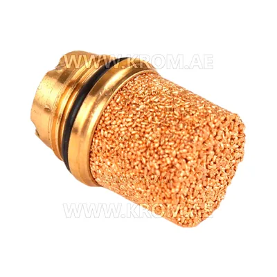 Delavan Protek Valve 60101-001