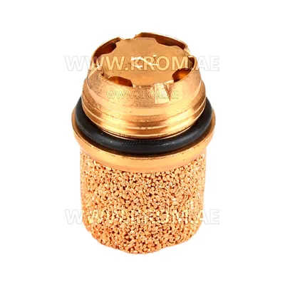 Delavan Protek Valve 60101-002