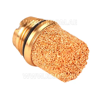 Delavan Protek Valve 60101-002