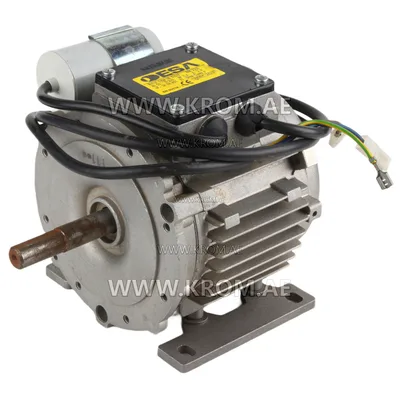 Master 4032.594 motor 250W for BV170