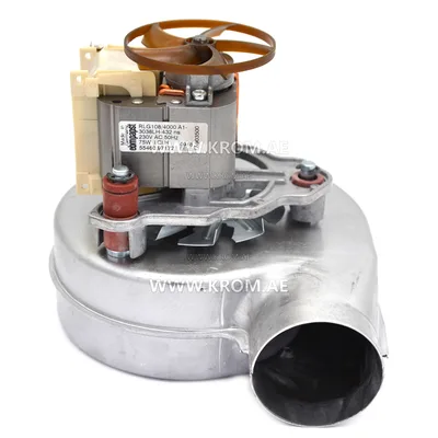 ebmpapst RLG108/4000A-3038LH, 55460.97172 fan