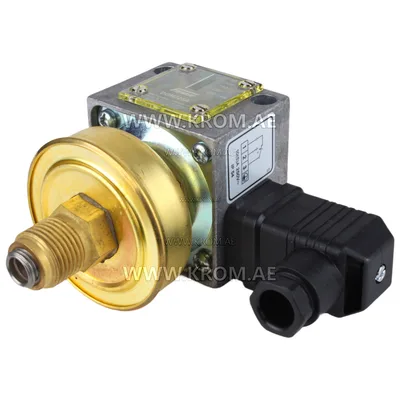 Fema DGM325A pressure switch