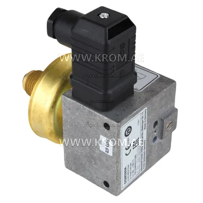 Fema DGM325A pressure switch