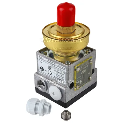 Fema DGM310-313 pressure switch