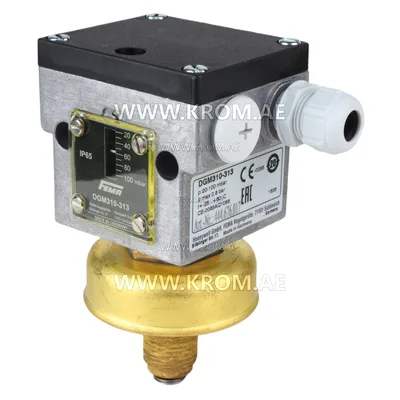 Fema DGM310-313 pressure switch