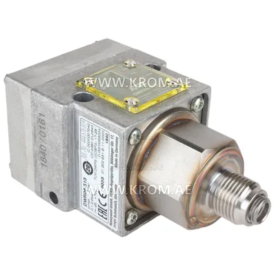 Fema DWR06-513 pressure switch