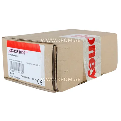 Honeywell R4343E1006 flame switch